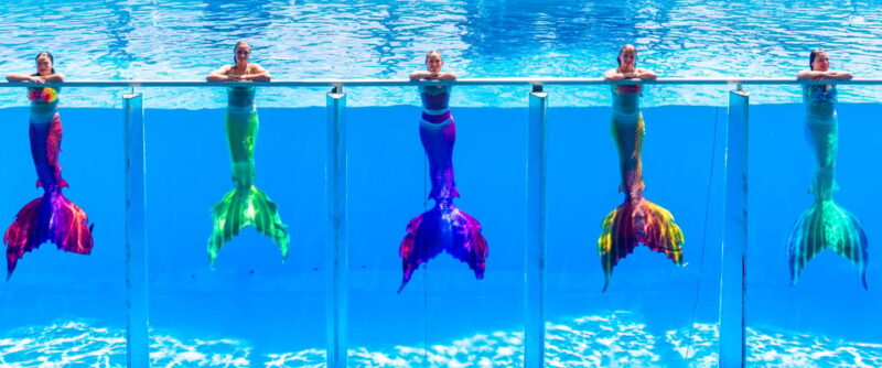 From Antalya: Dolusu Park Entrance Ticket in Kemer - Ticket Information and Pricing