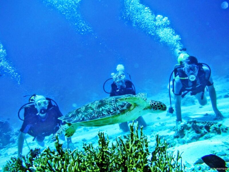 From Antalya| Kemer: Diving Tour With Experienced Instructor - Pricing and Cancellation Policy