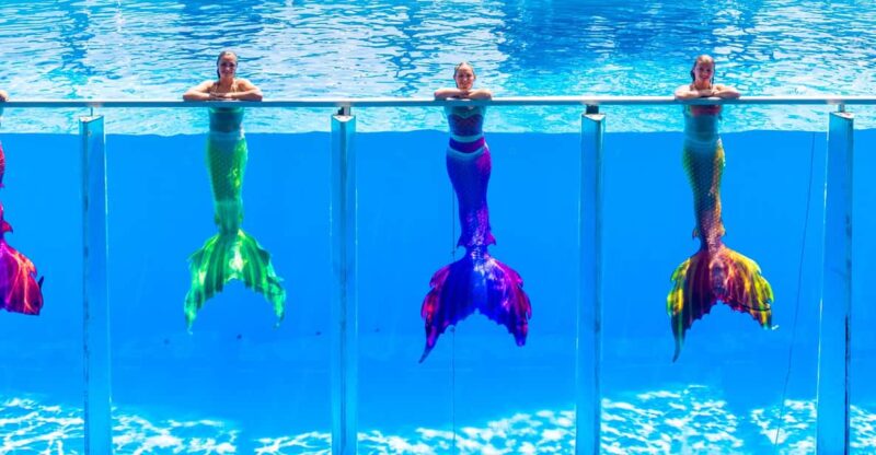 From Antalya/Kemer: Dolusu Park (Standard Package) - Unique Experiences