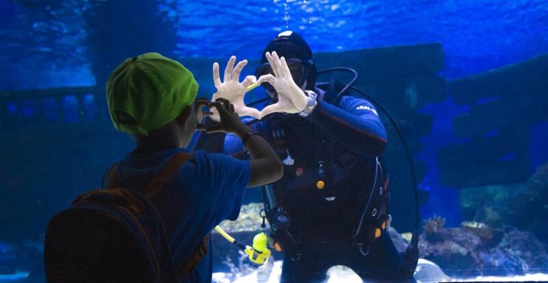 From Antalya/Side/Alanya: Antalya Aquarium Transfer Service - Ice Museum Experience