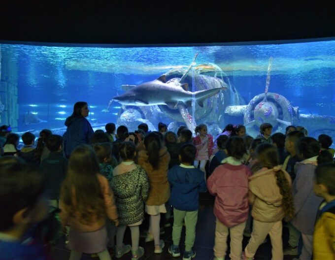 From Antalya/Side/Alanya: Antalya Aquarium Transfer Service - Ticket and Booking Information