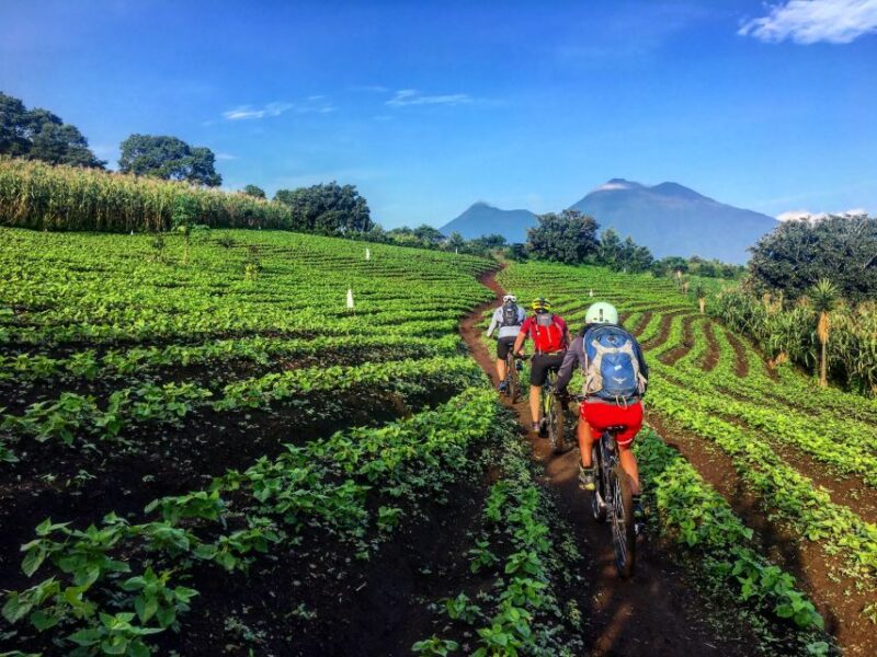 From Antigua: Lake Atitlán Mountain Biking Adventure - Trail Features and Terrain