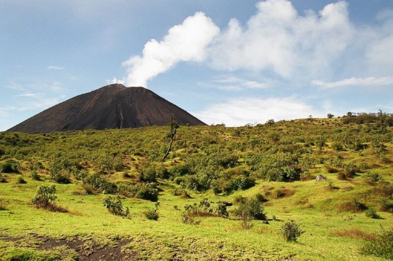 From Antigua: Pacaya Volcano Trek - Itinerary and Highlights