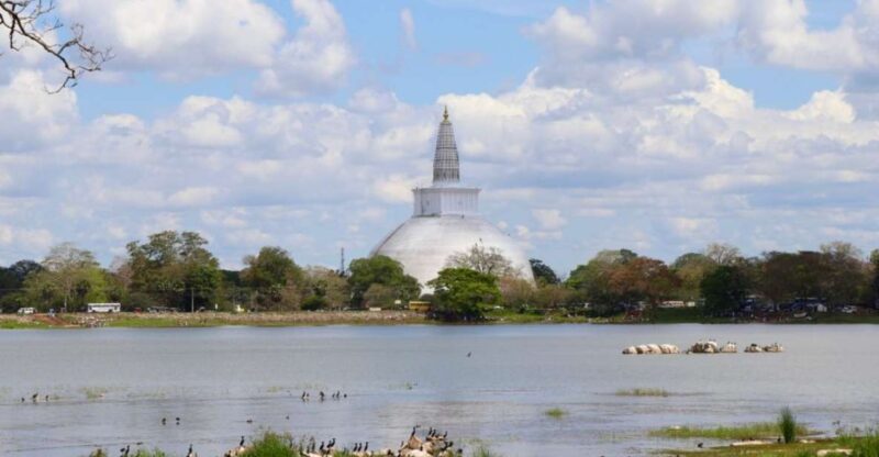 From Anuradhapura: Ancient City of Anuradhapura by Bike - Discover Theravada Buddhism Ties
