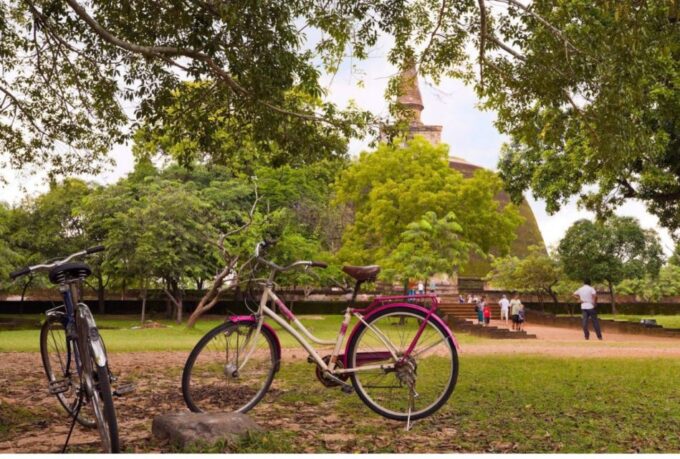 From Anuradhapura: Ancient City of Anuradhapura by Bike - Logistics and Inclusions