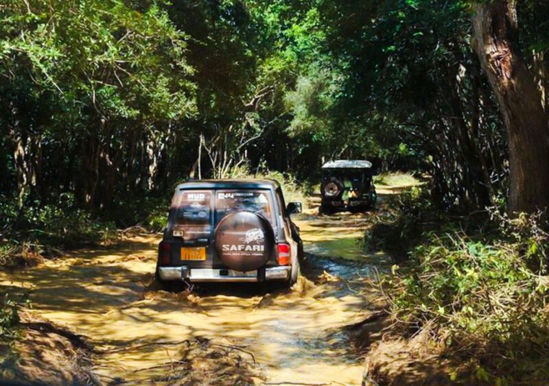 From Anuradhapura: Full-Day Wilpattu National Park Safari - Experience and Highlights