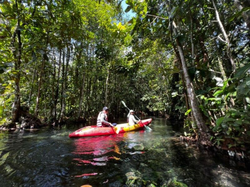 From Ao Nang: Kayaking at Klong Rud With Hotel Transfers - Key Points