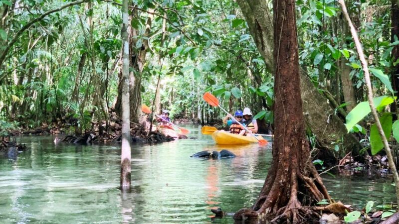 From Ao Nang: Kayaking at Klong Rud With Hotel Transfers - Highlights and Experience