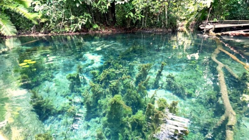 From Ao Nang: Kayaking at Klong Rud With Hotel Transfers - Important Information
