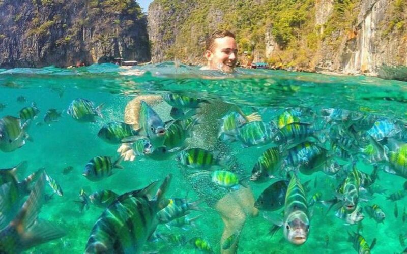 From Ao Nang:Phi Phi Islands Day To by Private Speed Boat - Experience Details