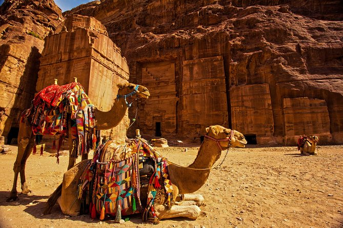 From Aqaba a Day Excursion to Petra - Key Points