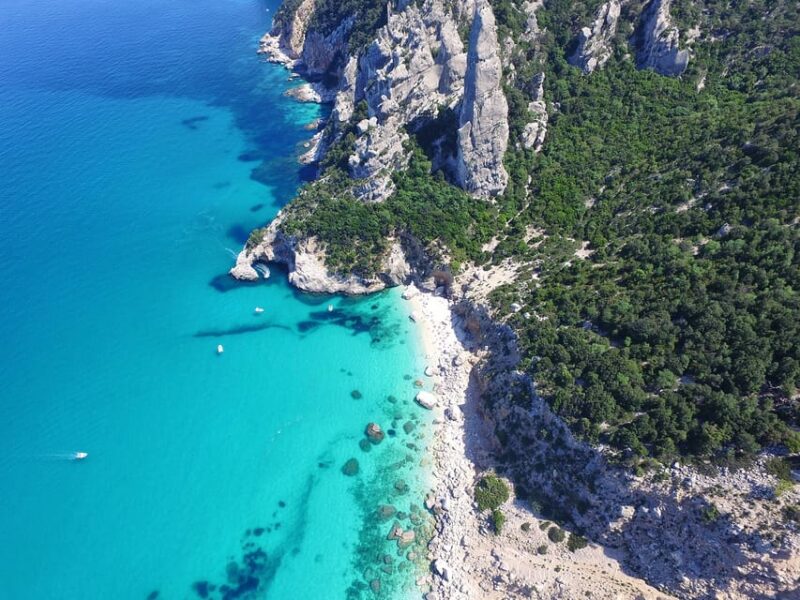 From Arbatax: Full-Day Guided Boat Tour of the Baunei Coast - Grotta Del Fico Visit