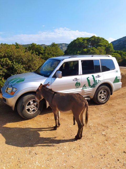 From Arbatax: Half Day Jeep Tour on Golgo Plateau - Preparation and Information
