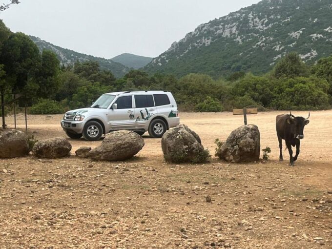 From Arbatax: Half Day Jeep Tour on Golgo Plateau - Meeting Point and Route