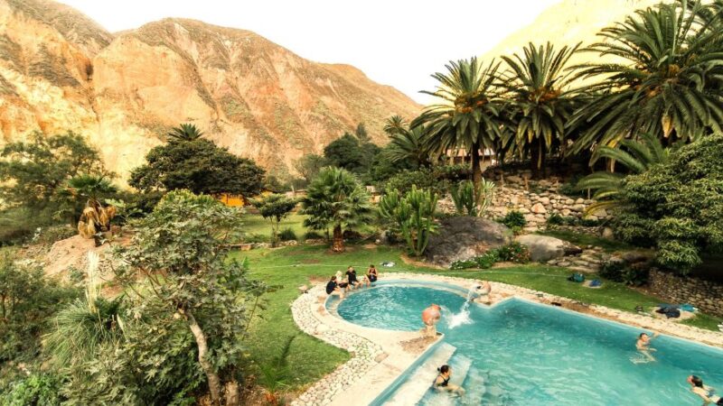 From Arequipa: 2-day Colca Canyon Trek Tour - Key Points