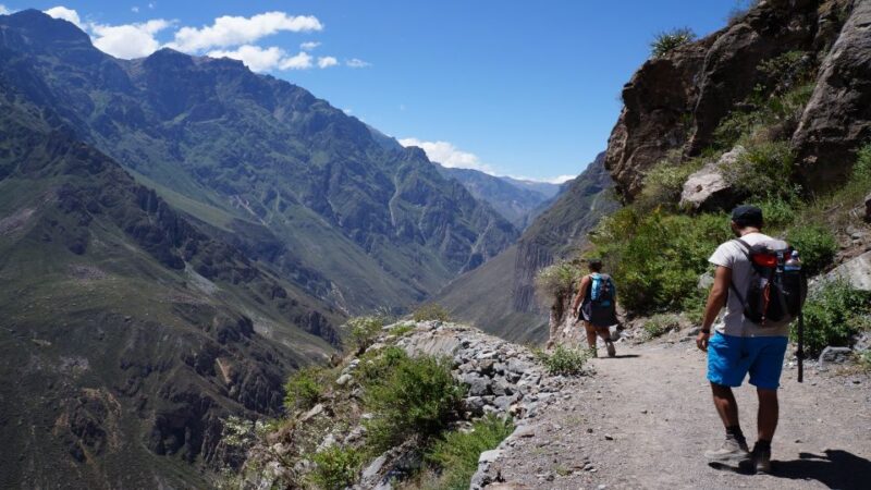 From Arequipa: 2-day Colca Canyon Trek Tour - Important Information