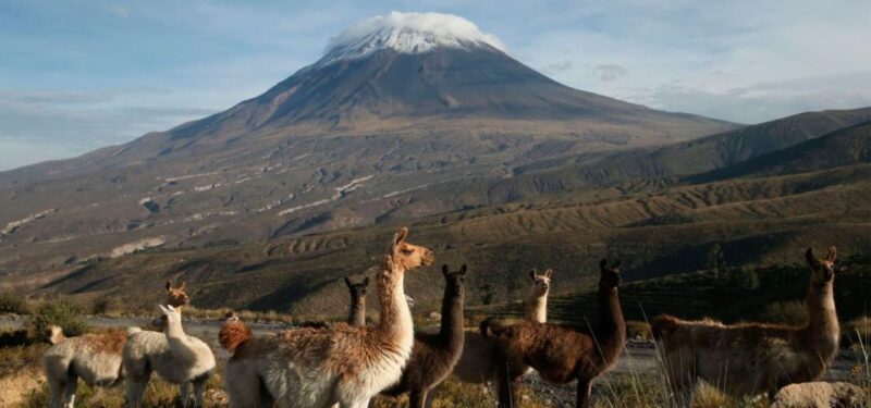 From Arequipa: 2-Day Excursion to Misti Volcano - Itinerary: Day 2