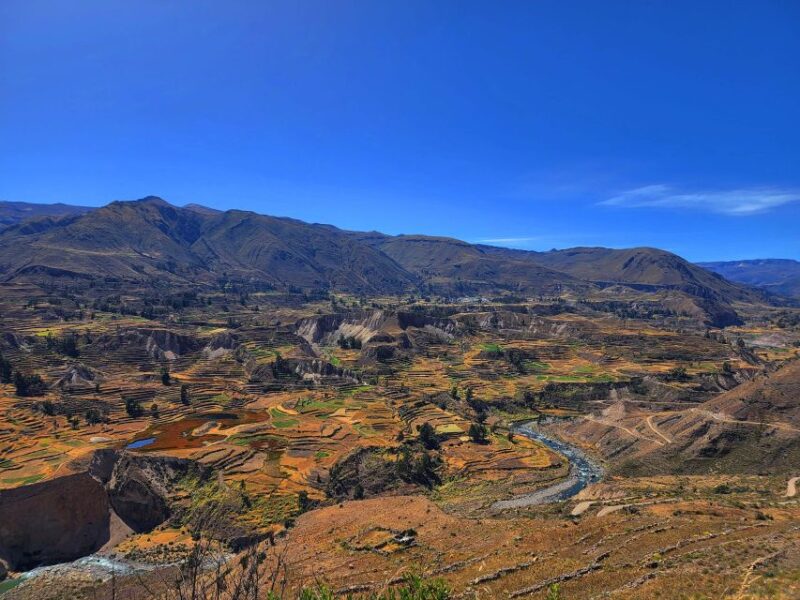 From Arequipa: 2 Day Tour Colca Canyon Ending in Puno - Important Information and Recommendations