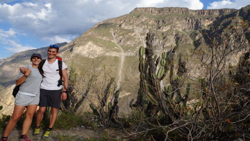 From Arequipa: 3-day Colca Canyon Hike Tour Adventure - Key Points