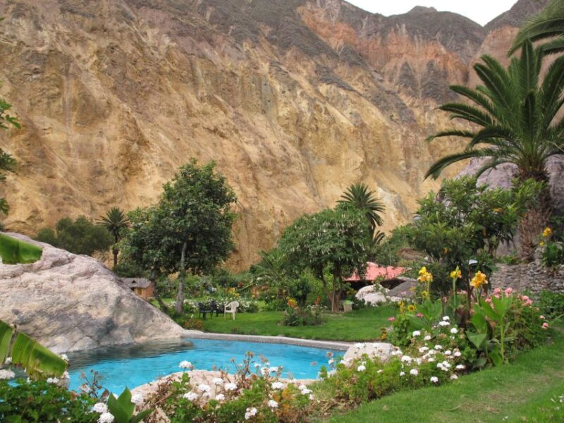 From Arequipa: 3-Day Colca Canyon Trek - Tour Overview and Pricing