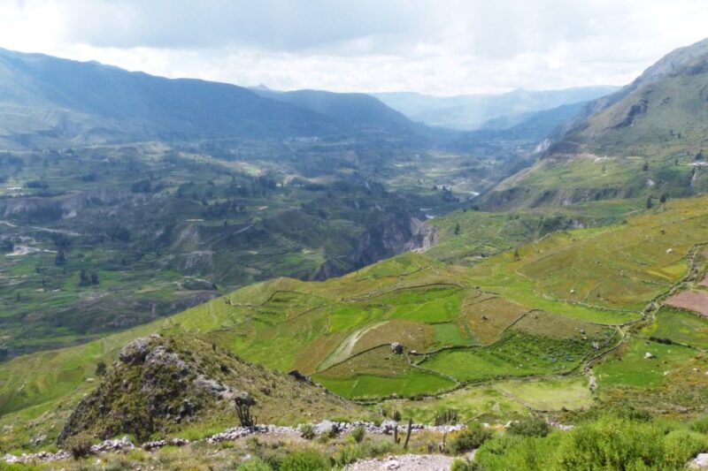 From Arequipa | Chivay and Colca Canyon Full Day Tour - Transportation and Guide