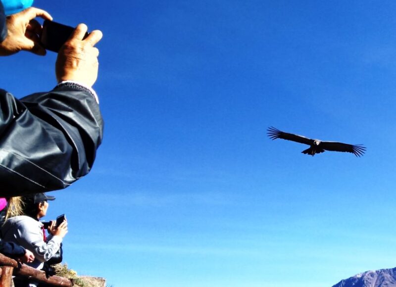 From Arequipa: Colca Canyon 2-Day Tour - Day 2 Itinerary