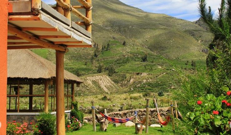 From Arequipa: Colca Canyon 2-Days Tour With Accommodation - Customer Reviews
