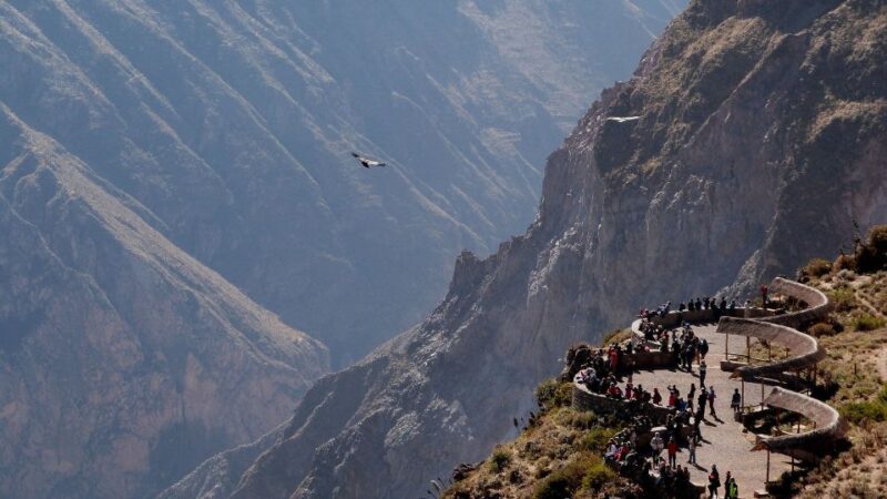 From Arequipa: Colca Canyon All Inclusive | Full Day | - Itinerary