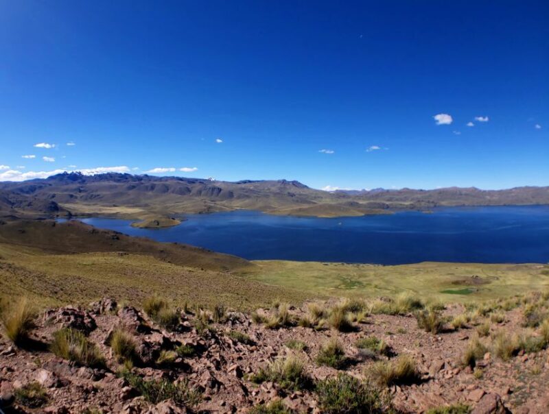 From Arequipa: Colca Canyon Day Tour to Puno - Inclusions and Options