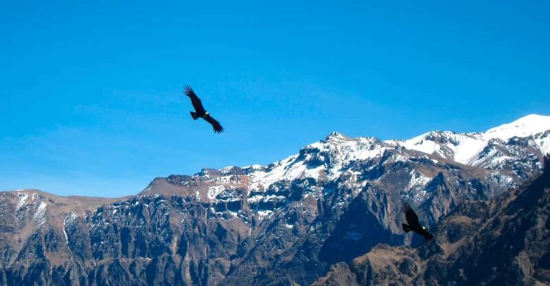 From Arequipa: Colca Canyon Excursion 2D With End in Puno - Itinerary Details for Day 2