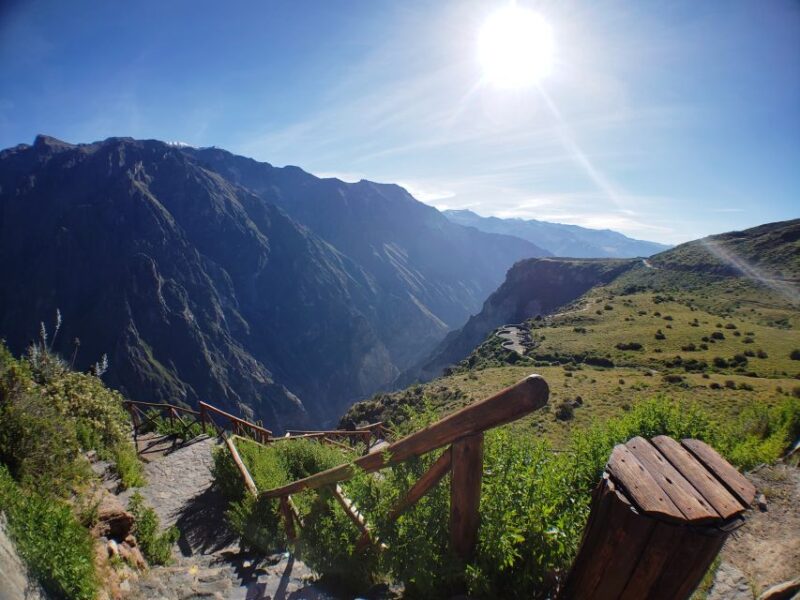 From Arequipa: Colca Canyon Full-Day Guided Tour - Experience Highlights