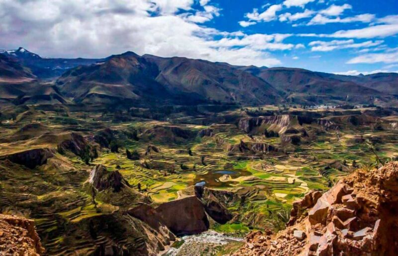 From Arequipa: Colca Canyon Tour 1 Day and Transfer to Puno - Transportation and Drop-off