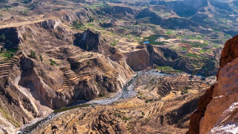 From Arequipa: Colca Canyon Tour 2 Day and Transfer to Puno - Itinerary Details