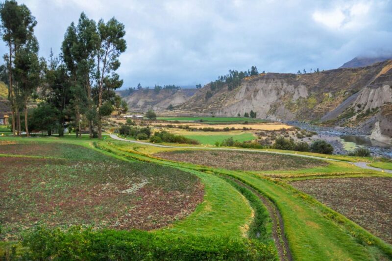 From Arequipa: Colca Canyon Two-Day Tour - Inclusions