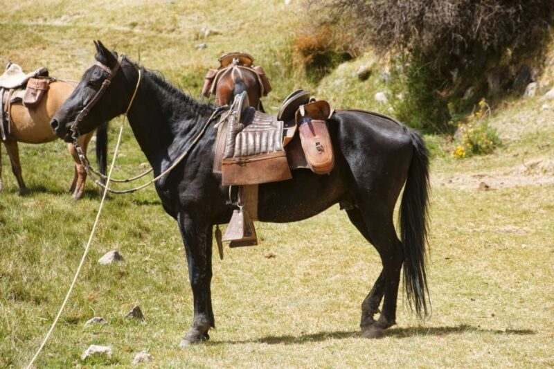 From Arequipa: Colca Valley/Canyon 2-Day Tour & Horse Riding - Day 1 Itinerary