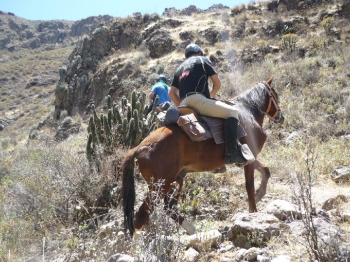 From Arequipa: Colca Valley/Canyon 2-Day Tour & Horse Riding - Customer Reviews