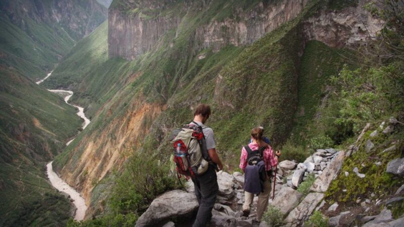 From Arequipa: Day Trip to the Colca Canyon - Customer Feedback