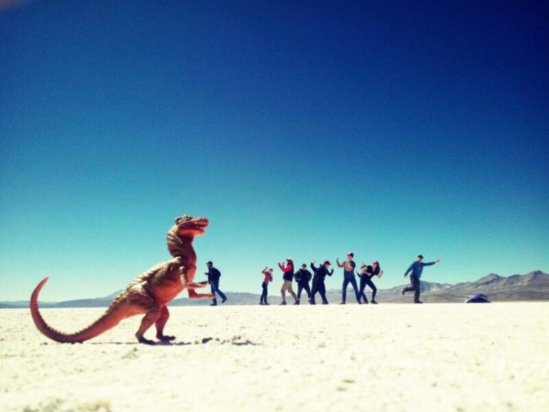 From Arequipa: Excursion to Salinas Lagoon - Experience Highlights