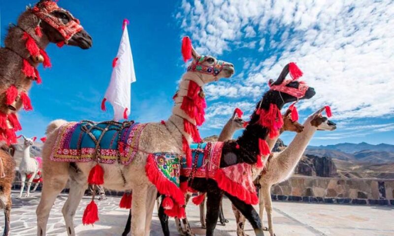 From Arequipa: Excursion to the Colca Canyon | 2 Days - Folkloric Dinner Show