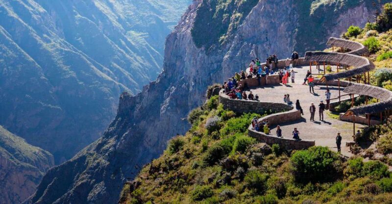 From Arequipa: Excursion to the Colca Canyon Ending in Puno - Included Amenities