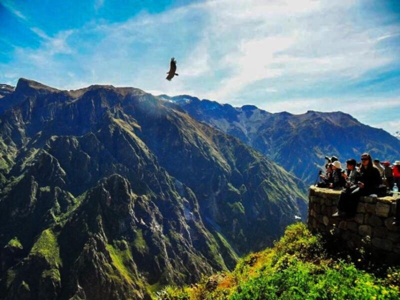 From Arequipa: Excursion to the Colca Canyon Ending in Puno - Availability and Reservations
