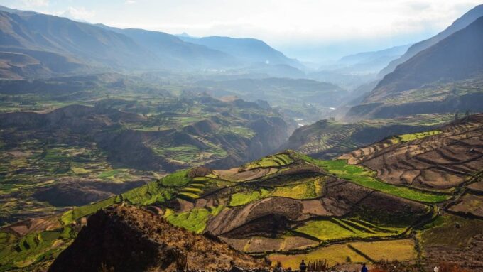 From Arequipa: Excursion to the Colca Canyon Ending in Puno - Trip Details