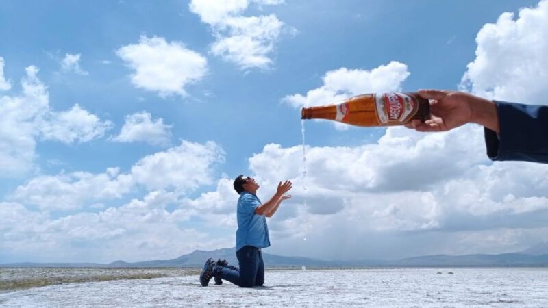 From Arequipa: Excursion to the Salinas Lagoon || Full Day | - Wildlife and Natural Features