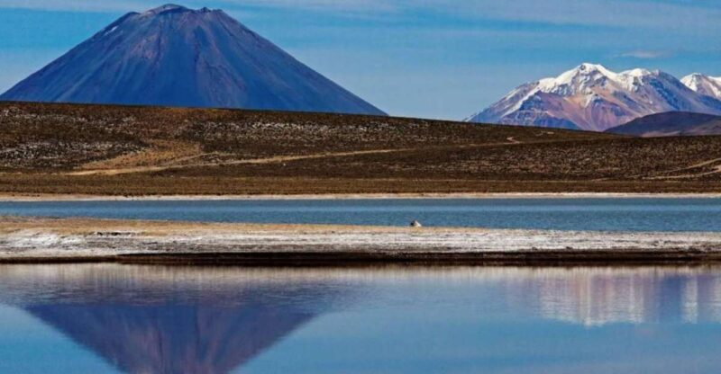 From Arequipa: Excursion to the Salinas Lagoon || Full Day | - Lunch and Return to Arequipa