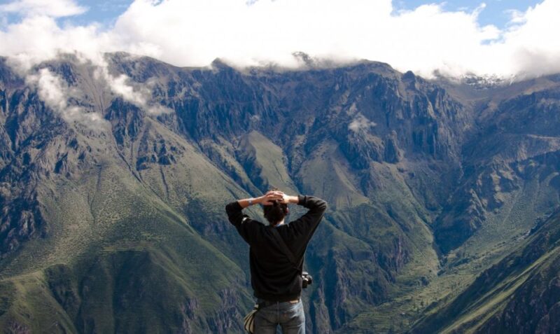 From Arequipa: Fantastic Tour to Colca Canyon |2Days/1Night| - Wildlife Viewing