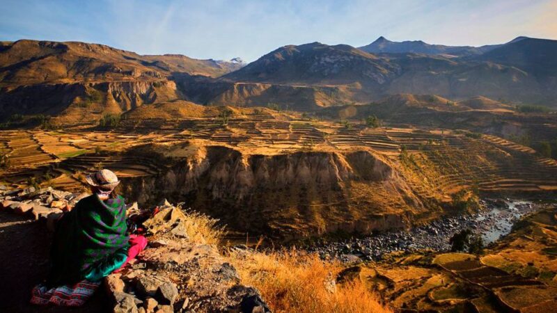 From Arequipa: Full Day Colca Canyon Tour - Customer Reviews