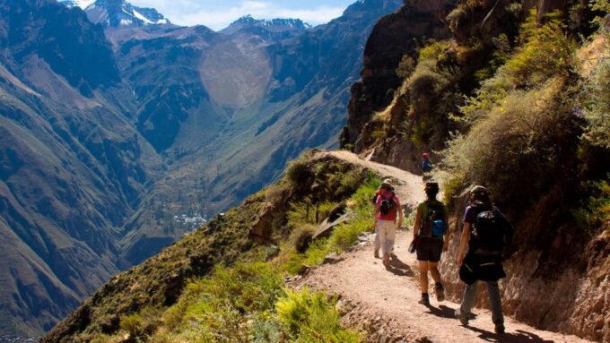 From Arequipa: Full Day Colca Canyon Tour - Frequently Asked Questions