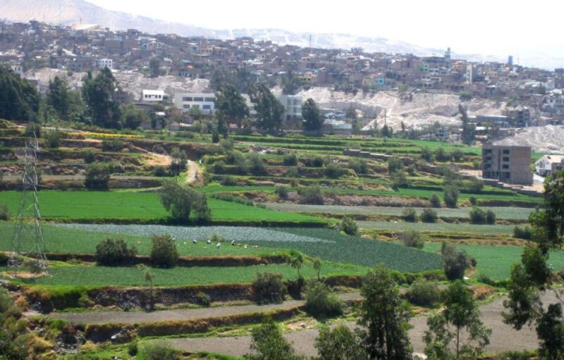 From Arequipa: Loncco Route Tour || Full Day || - Key Points