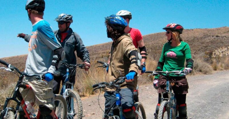 From Arequipa || Pichu Pichu Bike Tour || Half Day || - Flora and Fauna