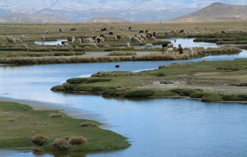 From Arequipa: Salinas Lagoon Full-Day Trip With Hot Springs - Trip Overview and Details